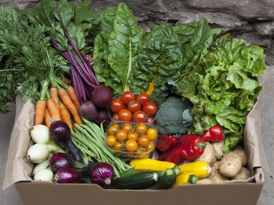 Large organic veg box