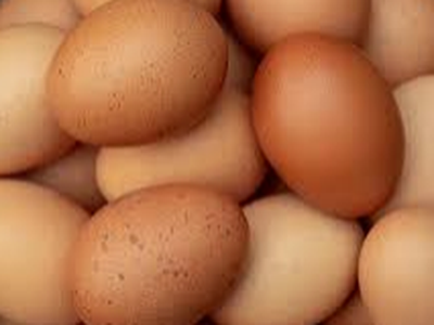 Free range eggs -