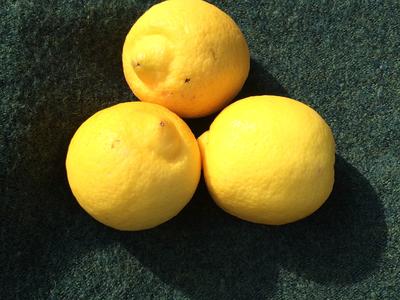 Lemons 250g